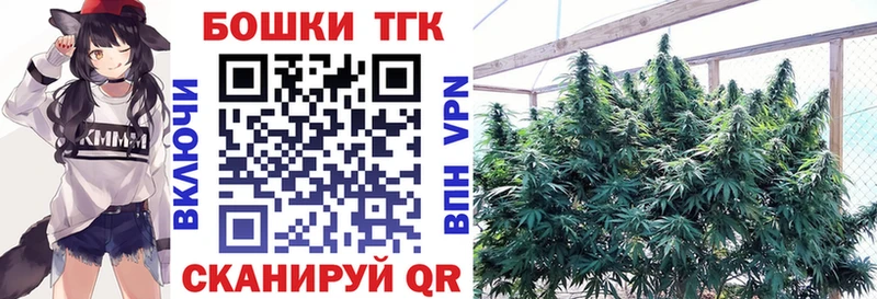Купить закладку Каннабис A PVP ГАШ Мефедрон COCAIN Новая Ладога