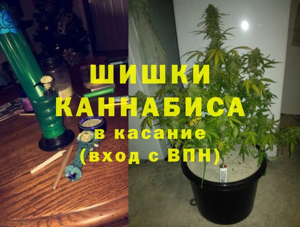 ПСИЛОЦИБИНОВЫЕ ГРИБЫ Иннополис