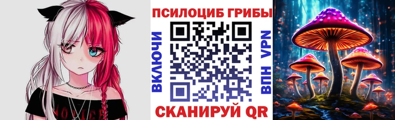 Галлюциногенные грибы Cubensis Новая Ладога